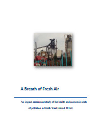 Report for 2014: Impact Assessment of Pollution in Southwest Detroit 