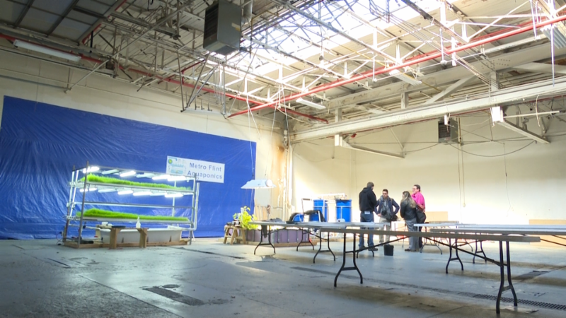 Photo of the aquaponics working space with tanks and plant troughs in a large room